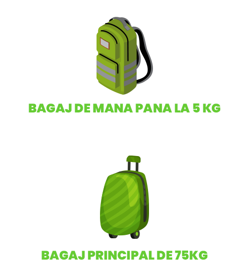 bagajul