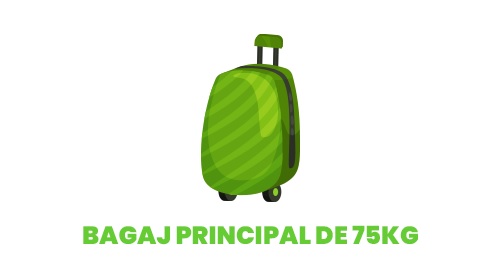 bagajul_small